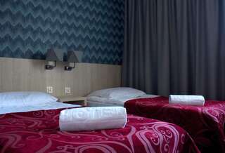 Курортные отели Pod Lipami Легово Улучшенный двухместный номер с 2 отдельными кроватями-2